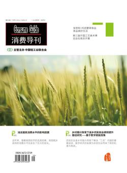 消费导刊